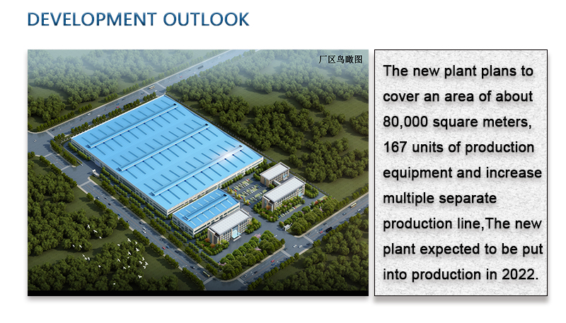 perspectiva de desenvolvimento