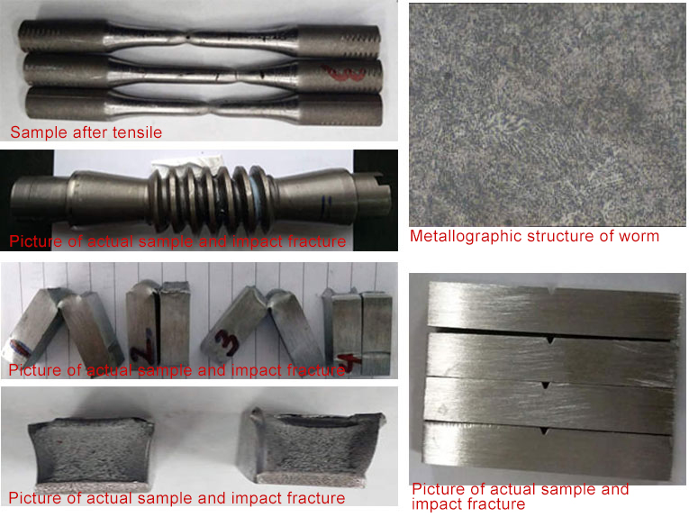 O Departamento de Tecnologia convidou o professor da Universidade de Minas e Tecnologia da China para realizar análises de desempenho do passeio de giro